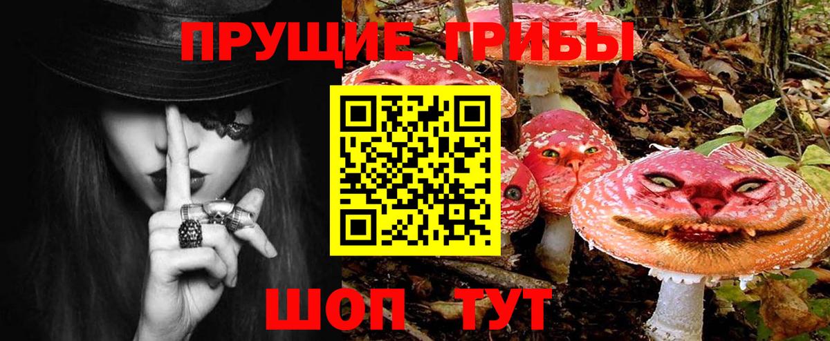 Галлюциногенные грибы Psilocybe  Вход с VPN  Лысьва 